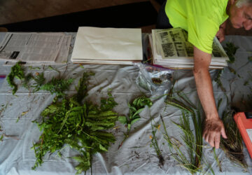Climate Peatlands Restoration