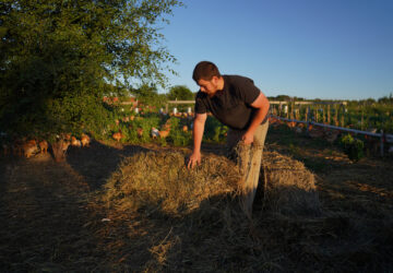 Spirit Led Farming