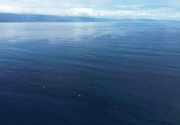 California Kelp Farm