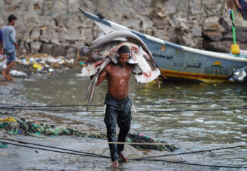Mideast Wars Yemen