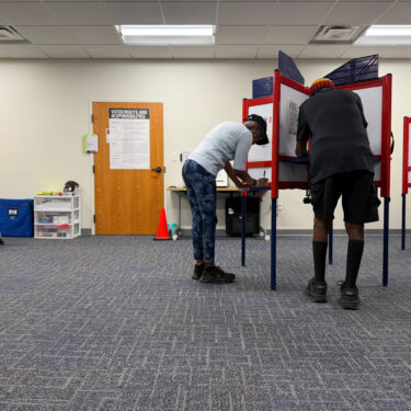 US Elections 2026 Voting