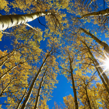 Equinox Solstice Explainer