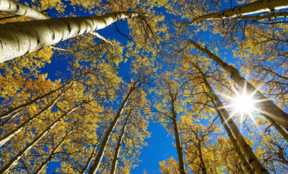 Equinox Solstice Explainer
