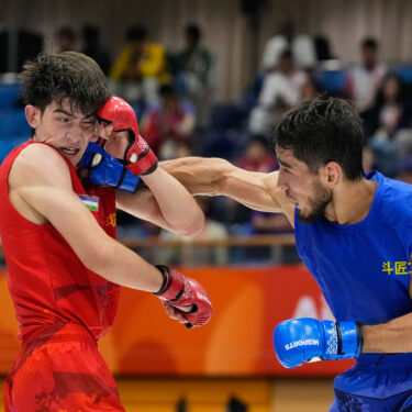 Asian Games Mixed Martial Arts