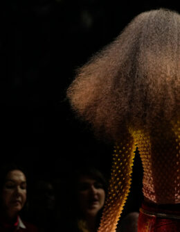 Italy Fashion Roberto Cavalli S/S 27