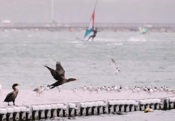 Massachusetts Extreme Weather Nor’easter