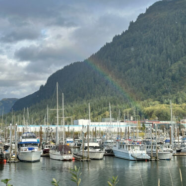 Election 2026 Alaska