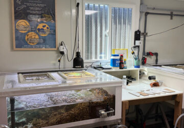 Endangered Frog Nursery