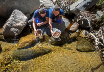 Endangered Frog Nursery