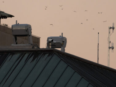 Trump Drone Port