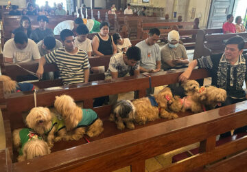 Philippines Pet Blessing