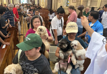 Philippines Pet Blessing