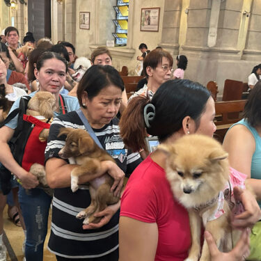 Philippines Pet Blessing