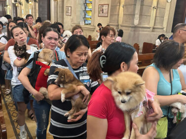 Philippines Pet Blessing