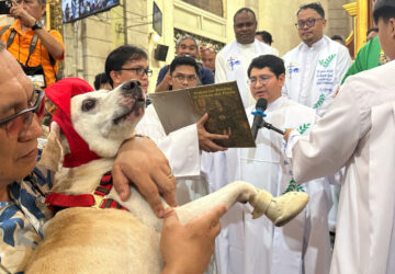 Philippines Pet Blessing
