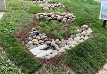 Gardening – Rain Gardens