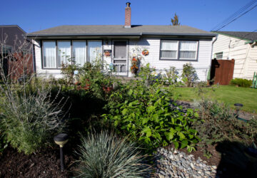 Gardening-Rain Gardens