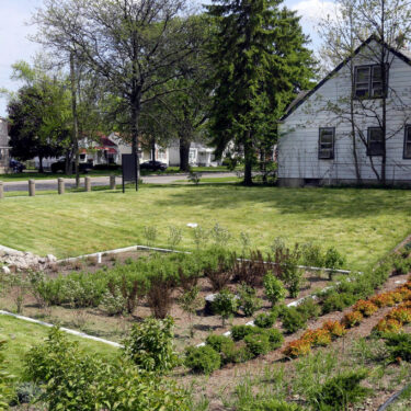 Gardening-Rain Gardens