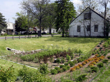 Gardening-Rain Gardens