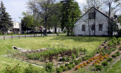 Gardening-Rain Gardens