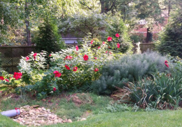 Gardens – Rain Gardens