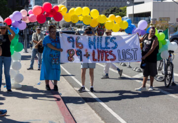 US Immigration Protests California