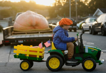 Giant Pumpkin Contest