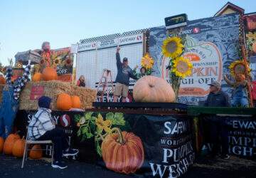 Giant Pumpkin Contest