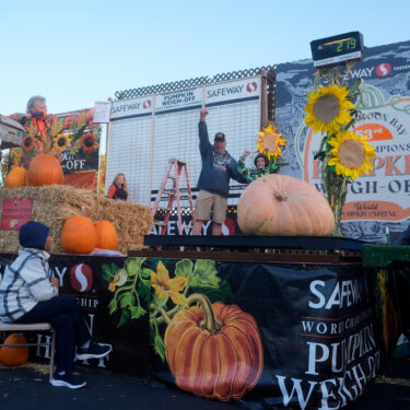 Giant Pumpkin Contest