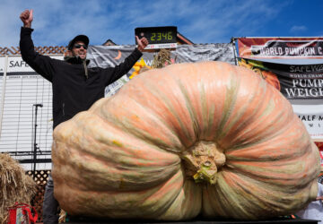 Giant Pumpkin Contest
