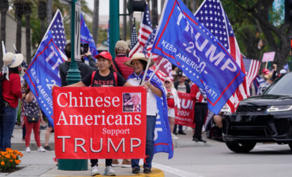 AP Poll AAPI Adults Midterms