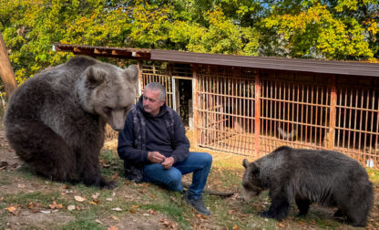 Bosnia Pet Bear