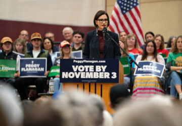 Election 2026 Minnesota Senate