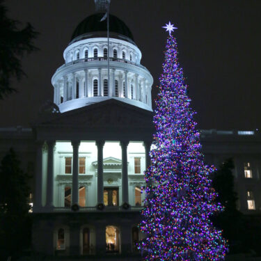 California Capitol Christmas Tree