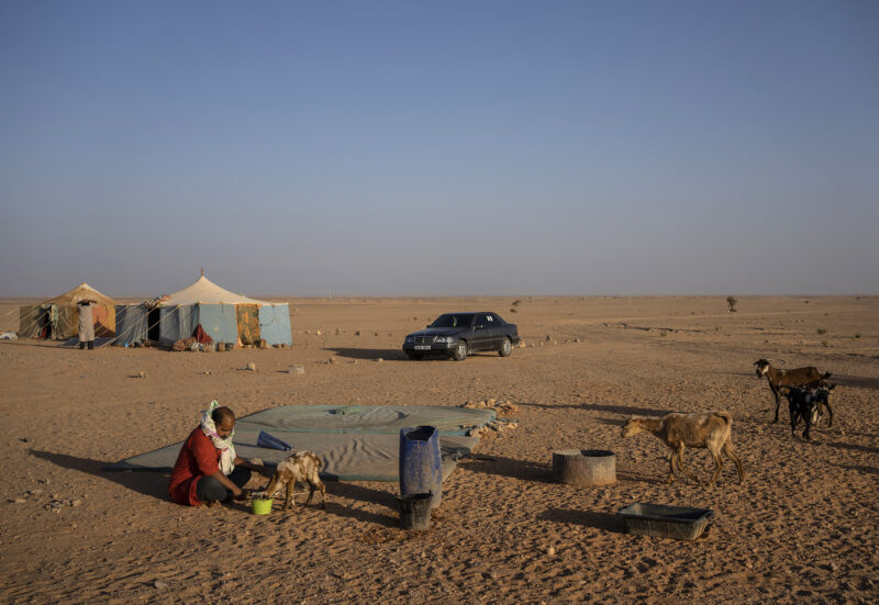 AP 21294213951101 hm sahara ss